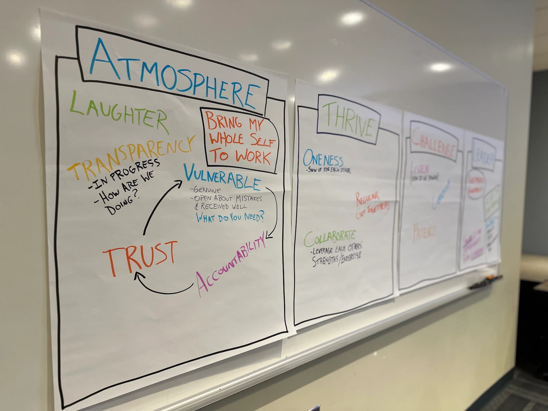 University Wellness Leadership: Reconnection & Growth Workshop media 11