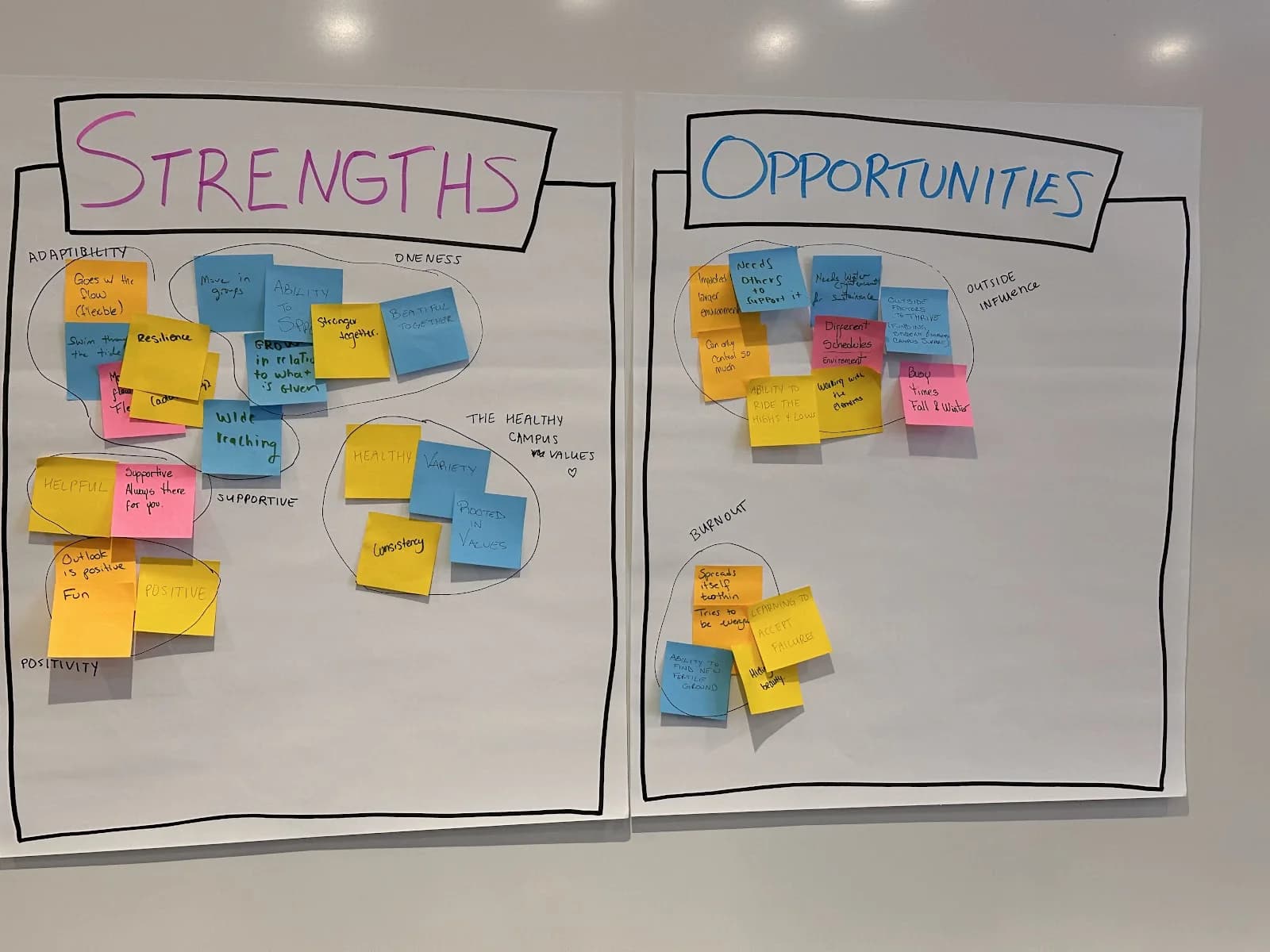 The team’s strengths and opportunities grouped on two flip-chart sheets